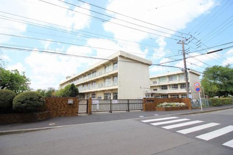 周辺 鹿島台小学校まで約516m