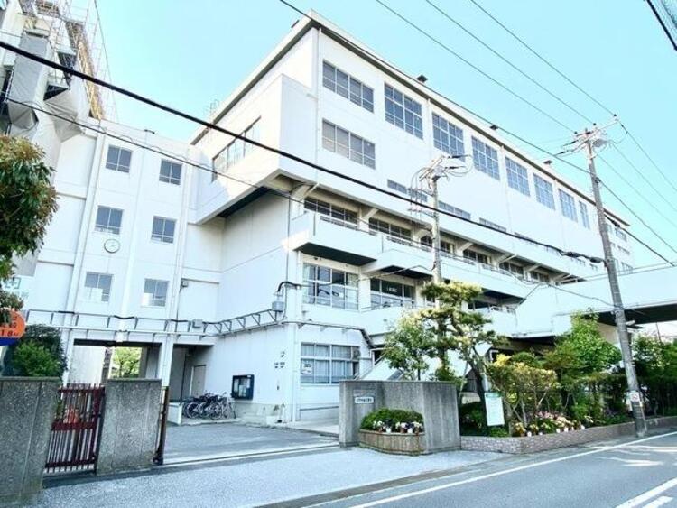 周辺 市川市立大洲中学校
