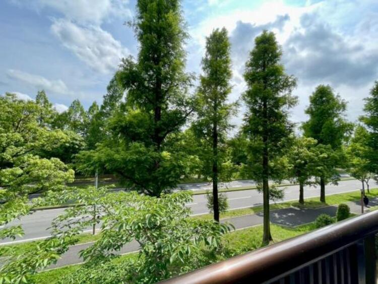 その他 前面に建物がなく、街路樹と空の広がる開放的な眺望です 