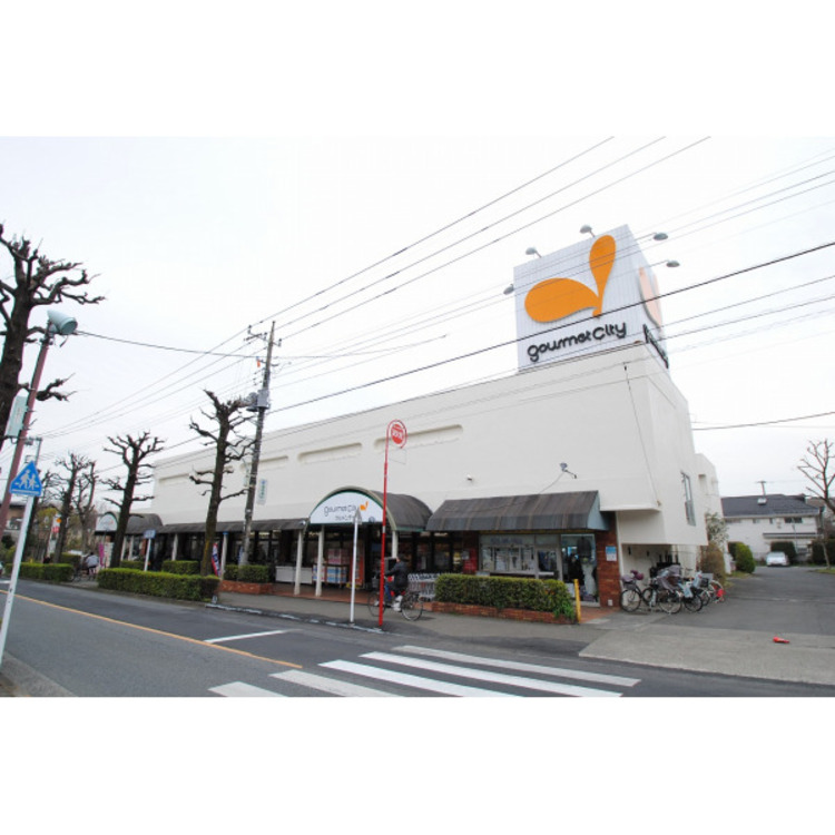周辺 グルメシティ(約1100m)