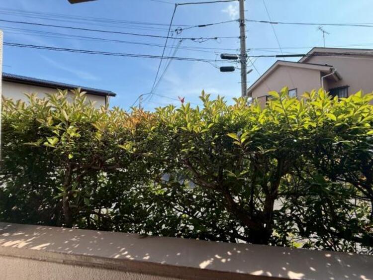 その他 【2025年6月撮影】