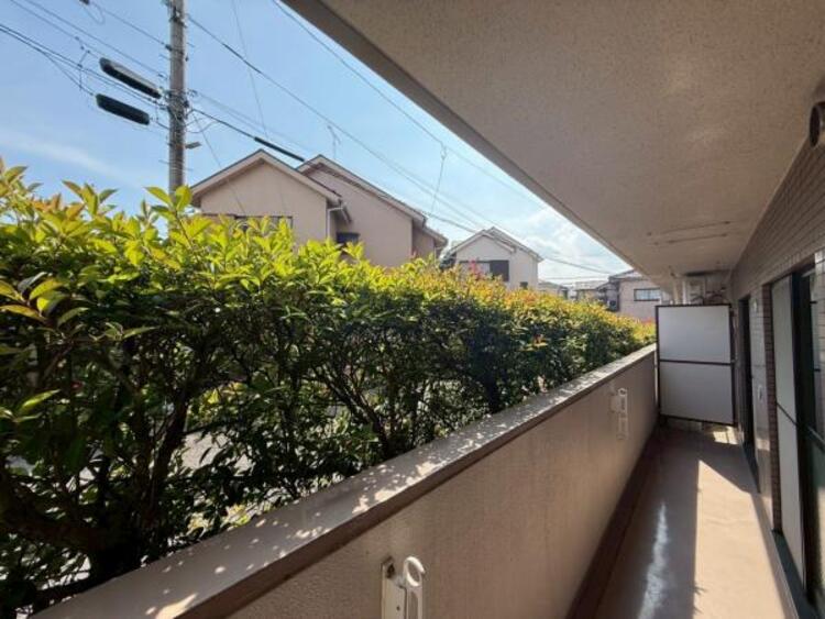 その他 【2025年6月撮影】