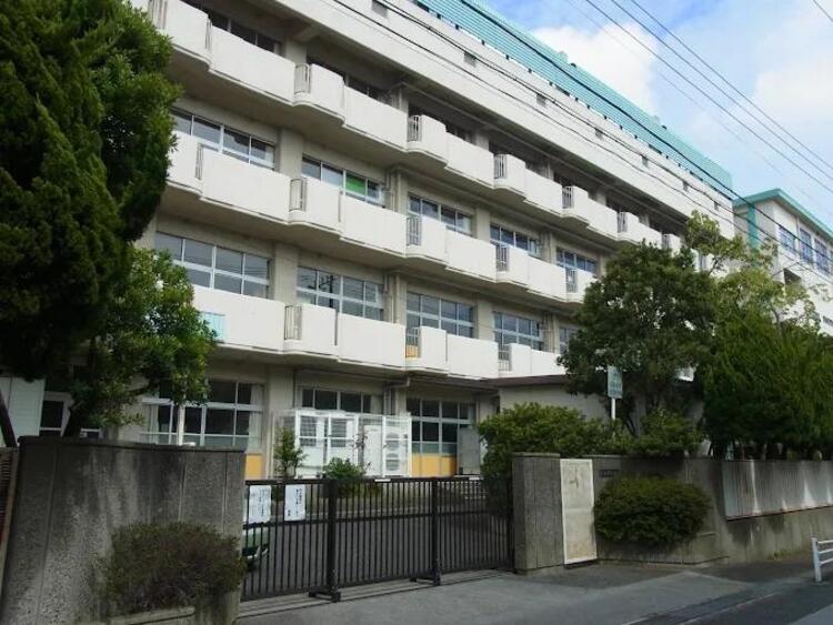 周辺 市川市立南行徳中学校