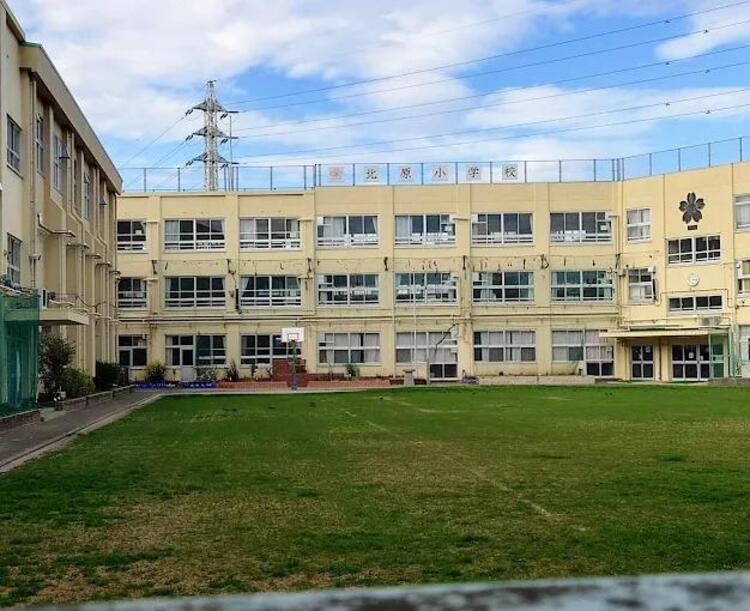 周辺 中野区立北原小学校