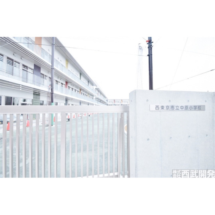 周辺 西東京市立中原小学校(約550m)