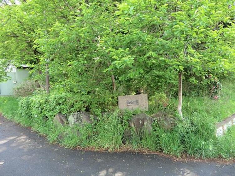 周辺 白幡公園	200m	