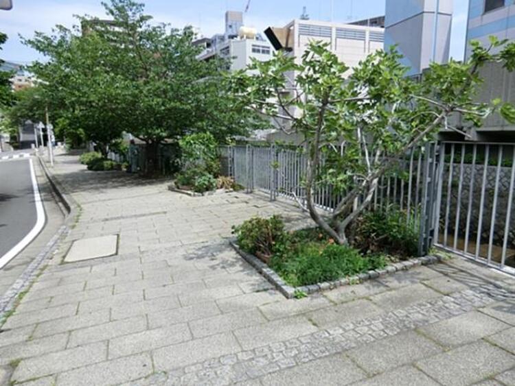 周辺 石崎川公園 550m