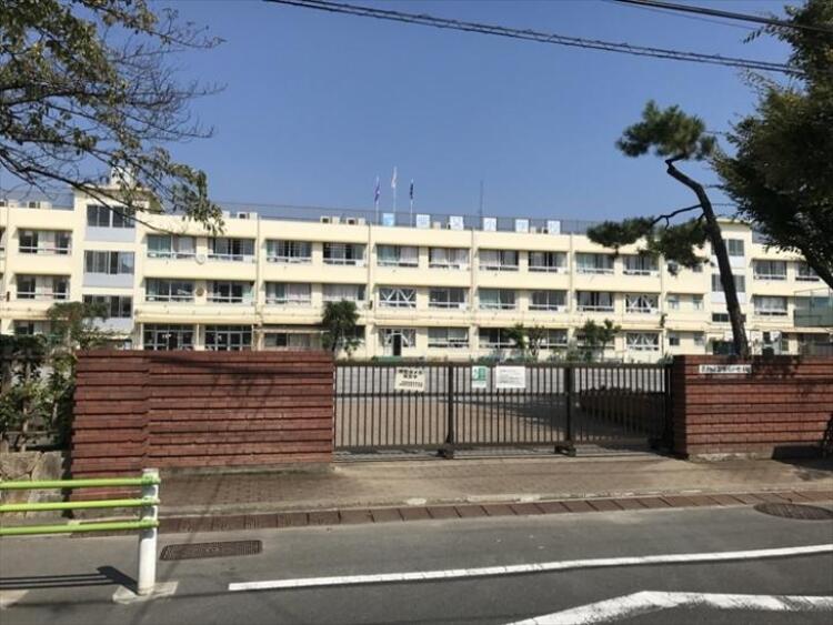 周辺 葛飾区立柴又小学校