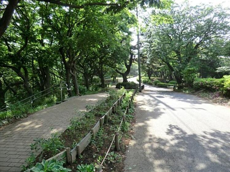 周辺 横浜市役所 環境創造局 神の木公園 555m