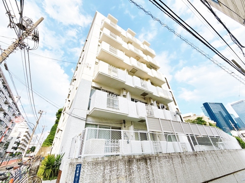 ヴェラハイツ新宿の物件画像