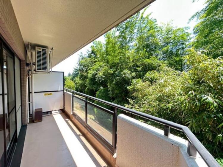 その他 【2025年6月撮影】