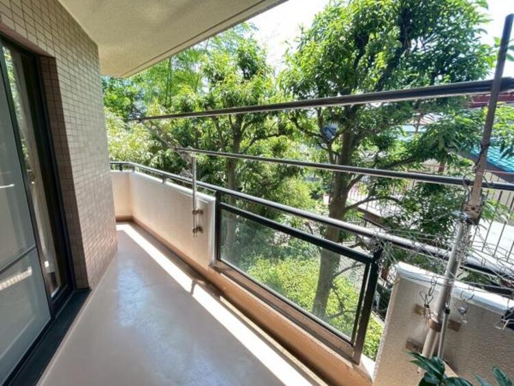 その他 【2025年6月撮影】