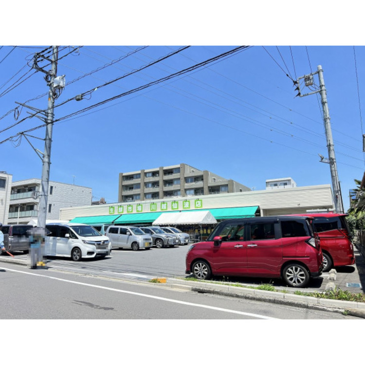 周辺 生鮮市場田中青果 川越仙波店(約500m)