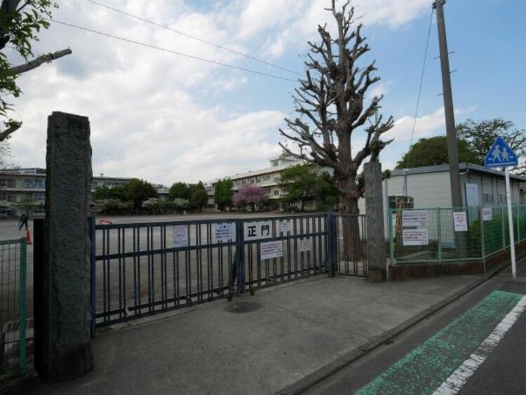 周辺 淵野辺小学校まで約599m