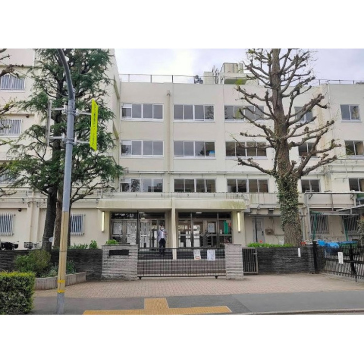 周辺 石神井中学校(約950m)