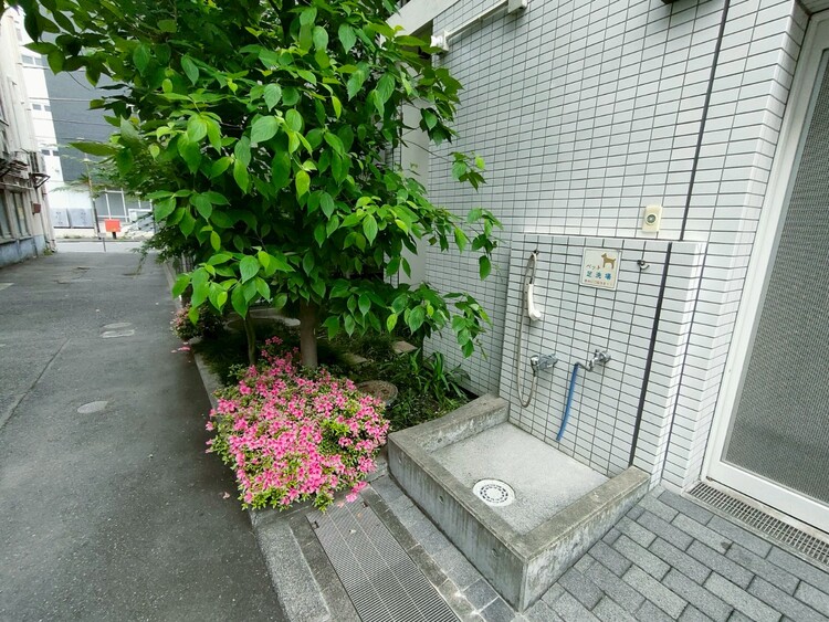 その他 ペットの足洗い場もございます。