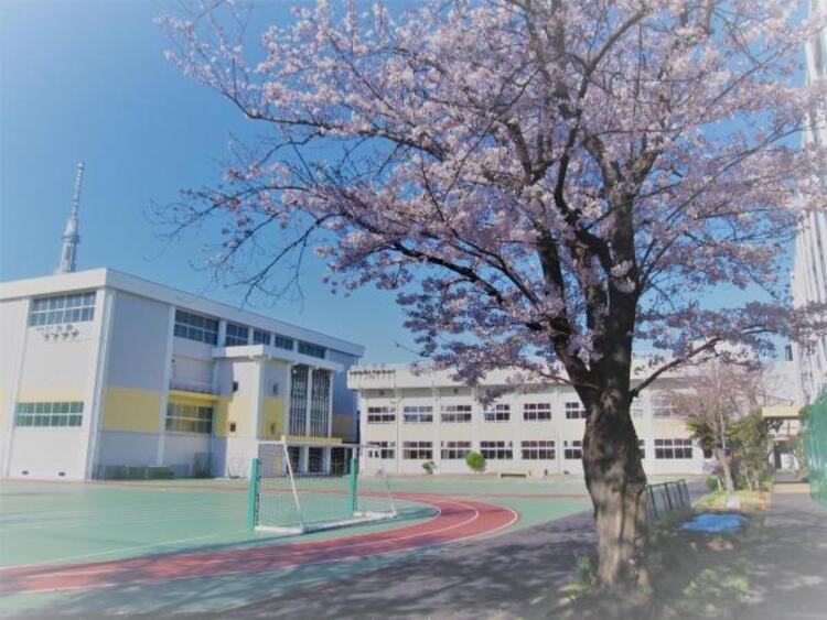 周辺 墨田区立寺島中学校