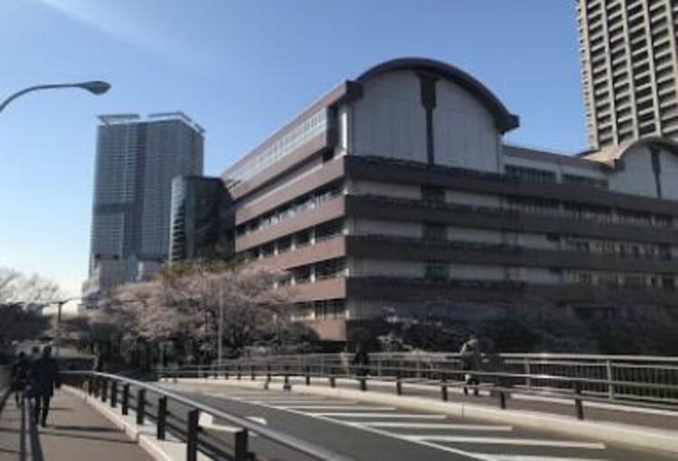 周辺 中央区立晴海中学校