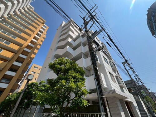 ドリーム市川の物件画像