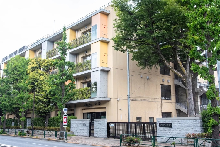 周辺 豊島区立目白小学校