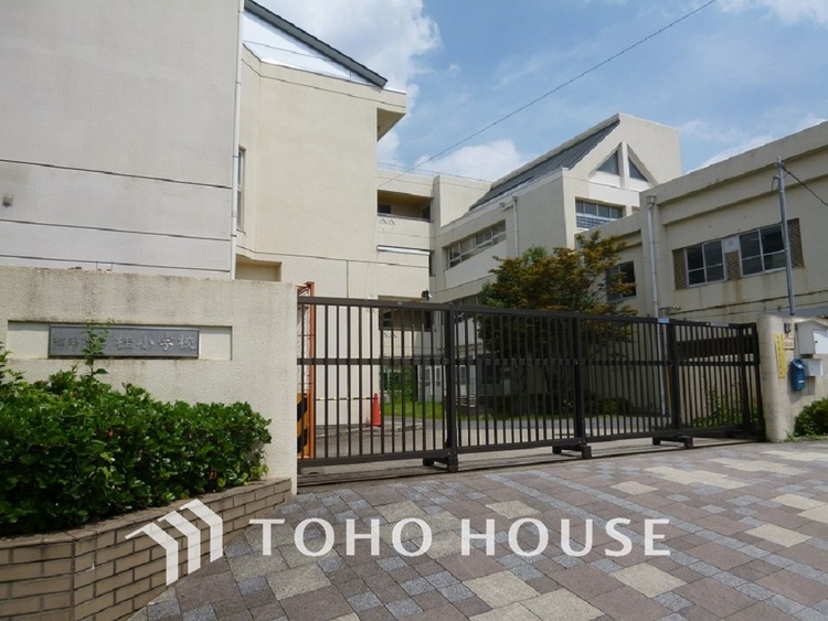 周辺 横浜市立桂小学校　距離350ｍ