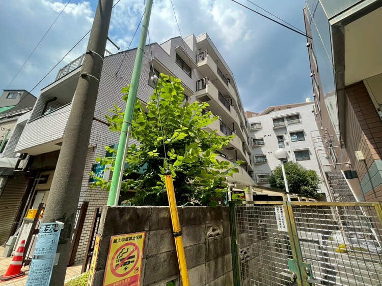 その他 飽きのこないシンプルモダンな外観です。