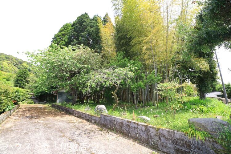 外観 【竹林】竹林もついており、春にはタケノコ堀を楽しめます