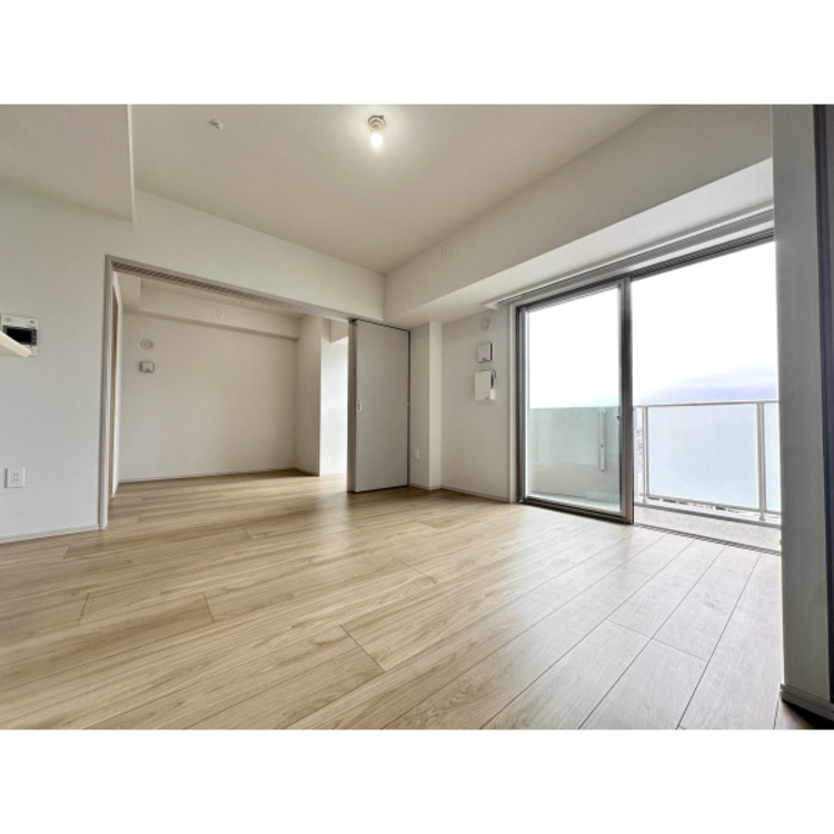 居間 令和7年6月2日撮影