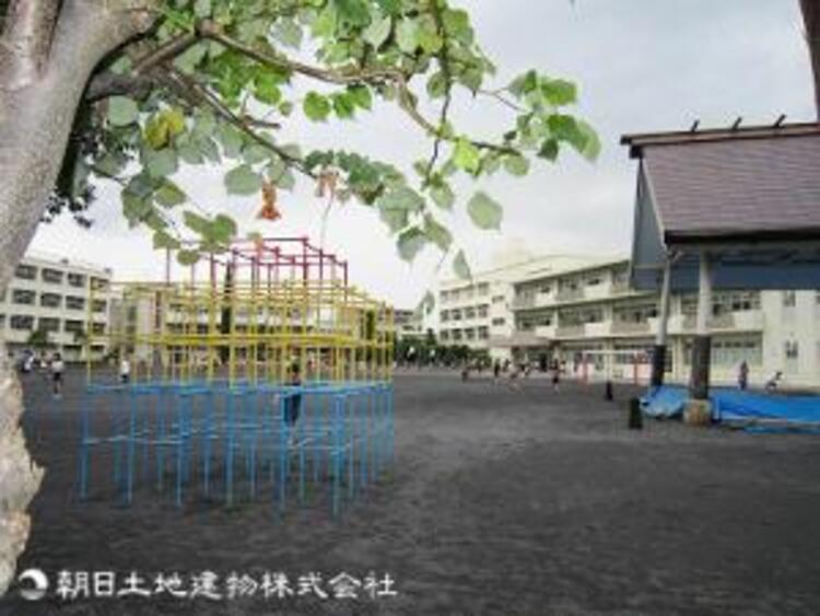 周辺 横浜市立綱島小学校600m