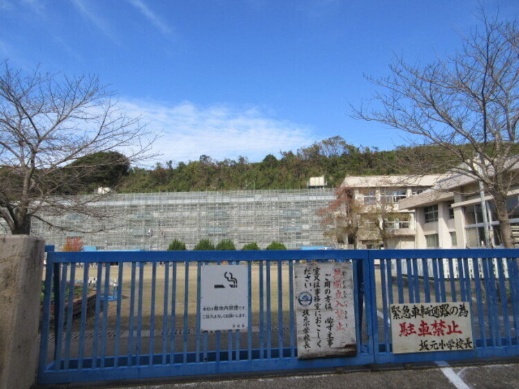 周辺 坂元小学校 徒歩 約4分（約320m）