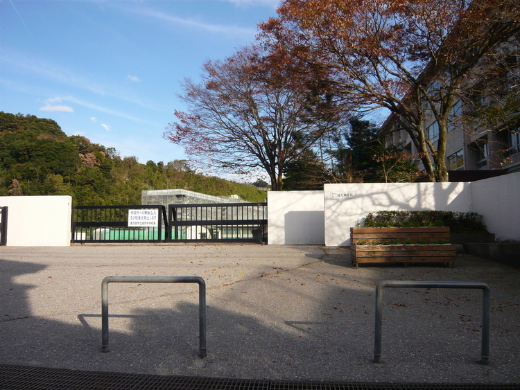 周辺 坂元中学校 徒歩 約4分（約320m）