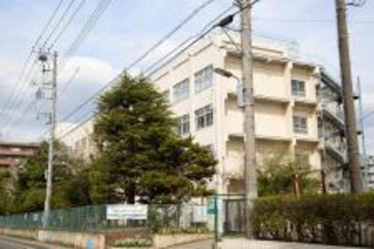 周辺 市川市立行徳小学校