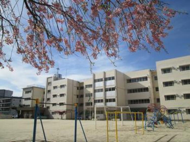 周辺 松戸市立中部小学校