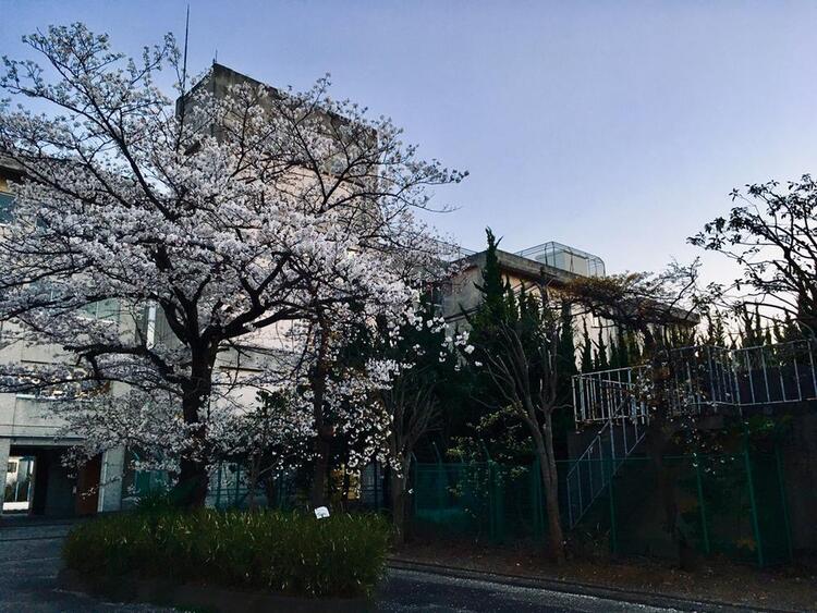 周辺 松戸市立第一中学校みらい分校