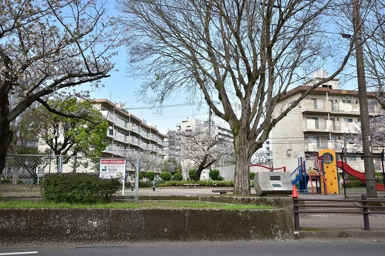 周辺 平和公園【平和公園】鹿児島市紫原2丁目にある公園です。遊具、トイレあり 徒歩 約7分（約530m）