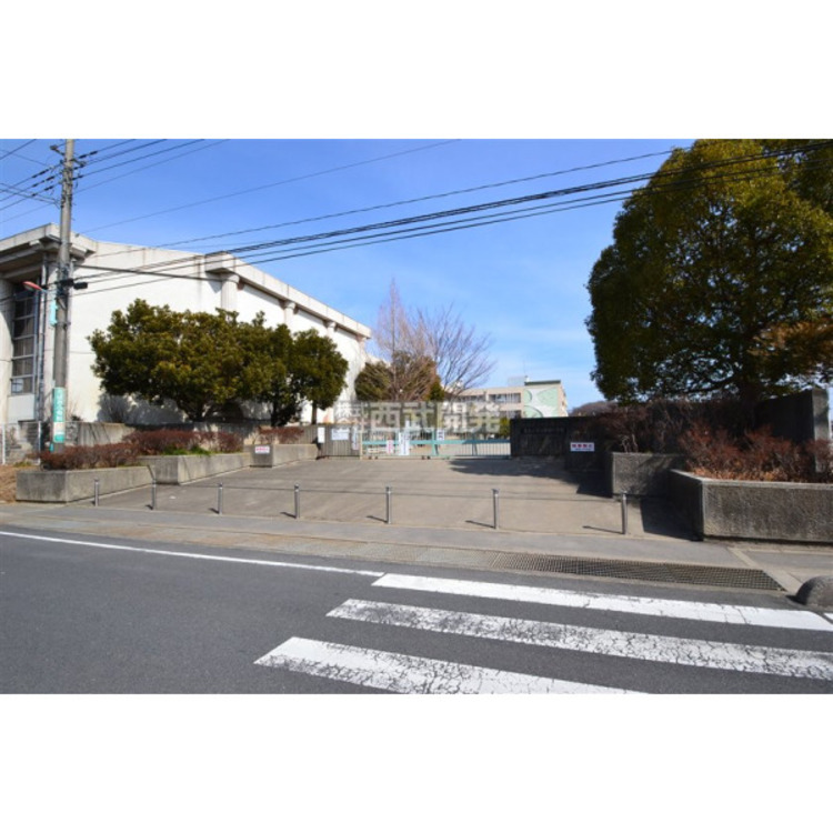 周辺 新宿小学校(約350m)