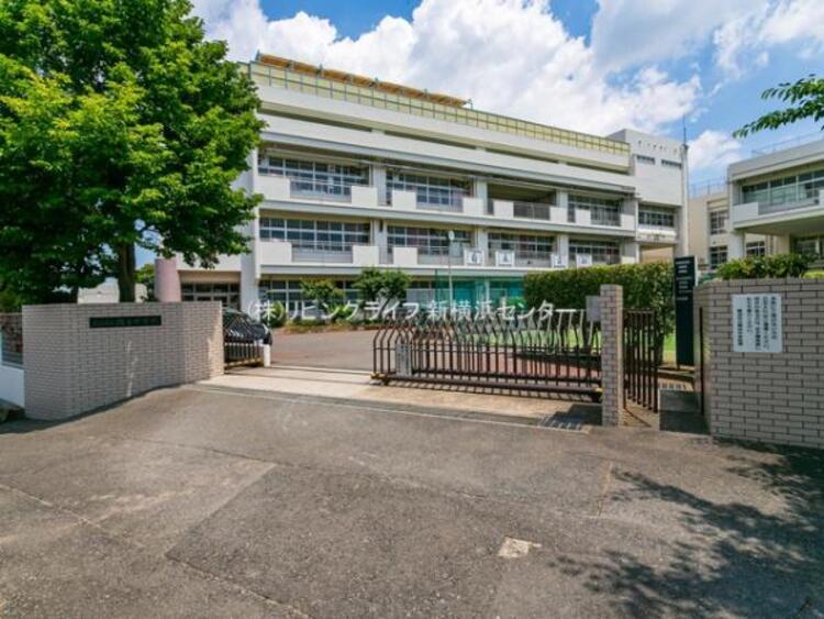 周辺 横浜市立錦台中学校 1240m