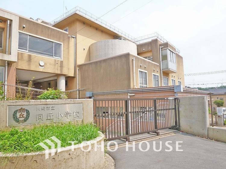 周辺 川崎市立向丘小学校　距離350m