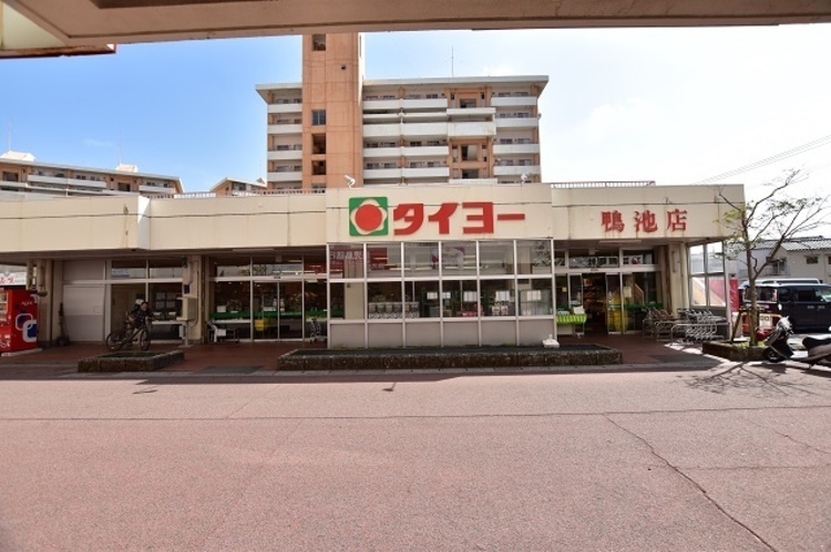 周辺 タイヨー鴨池店【タイヨー鴨池店】は、鹿児島市鴨池新町28に位置する鴨池フェリー入口交差点近くのスーパーです。取扱品目は主に「生鮮食品・日配品・一般食品 ・日用雑貨・お酒」… 徒歩 約3分（約220m）