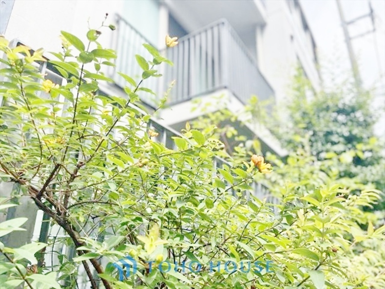 その他 ◆時を忘れる場所◆ここにはみんなが集い、食事と楽しい会話が始まる。話に夢中になりすぎて、ついつい時を忘れ夜半過ぎになってしまう。そんな束の間の幸せを感じさせてくれる場所でありたい。