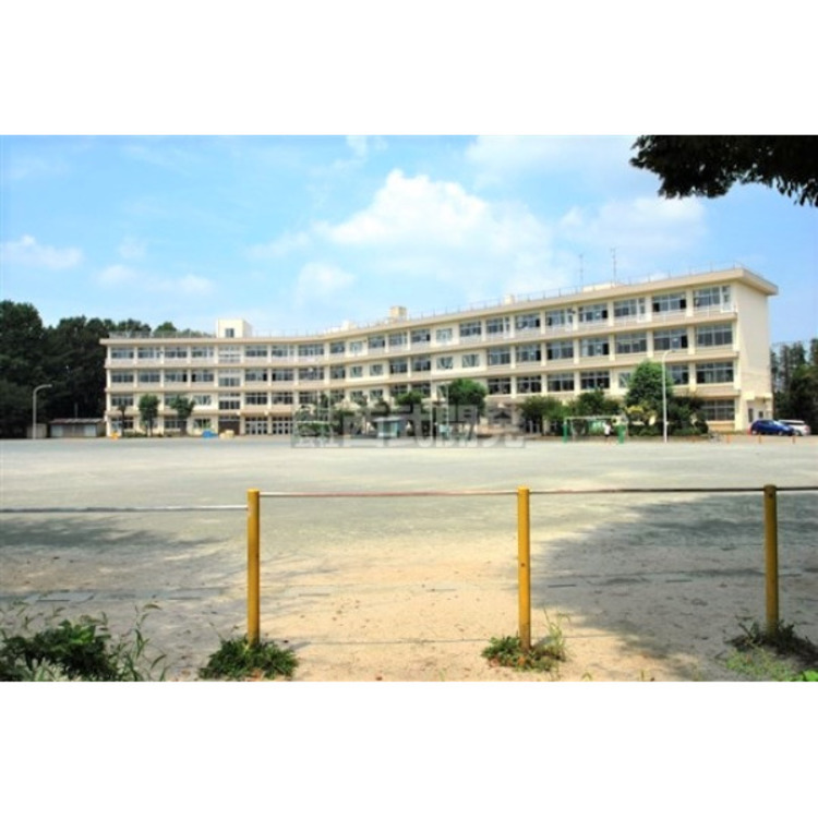 周辺 若狭小学校(約450m)