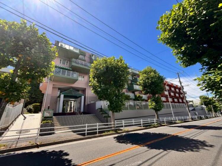 その他 （2025.7.10撮影）