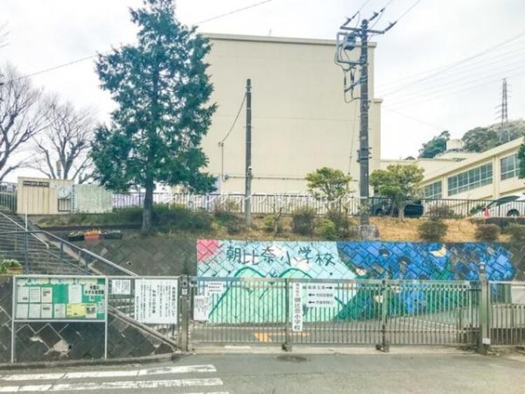 周辺 横浜市立朝比奈小学校　530ｍ