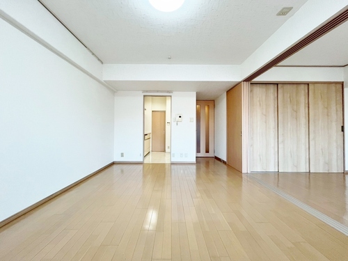 いづみハイツ柴又の物件画像