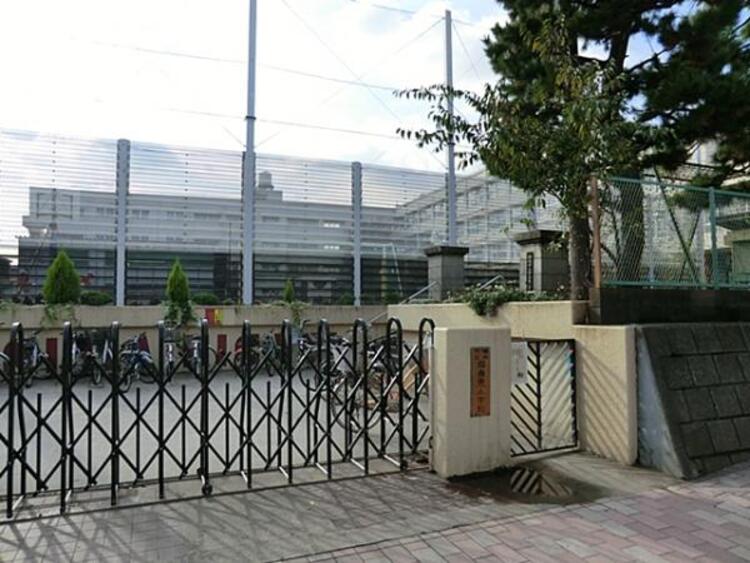 周辺 横浜市立綱島東小学校　440m