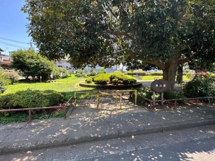 周辺 椿公園迄330ｍ