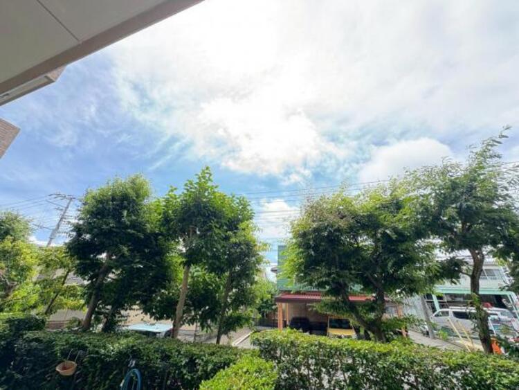 その他 【2025年7月撮影】