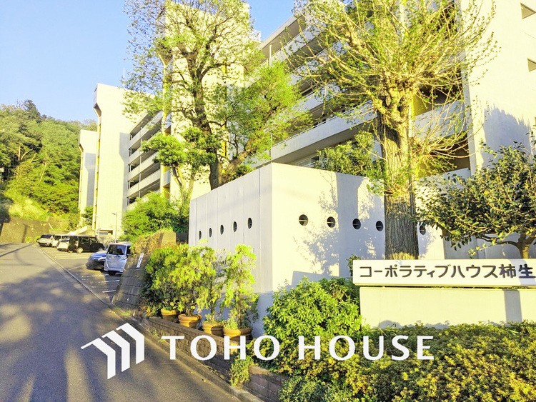 外観 〜大切なペットとの暮らし〜「柿生」駅まではほぼ平坦な道のり〜緑豊かな住環境です〜