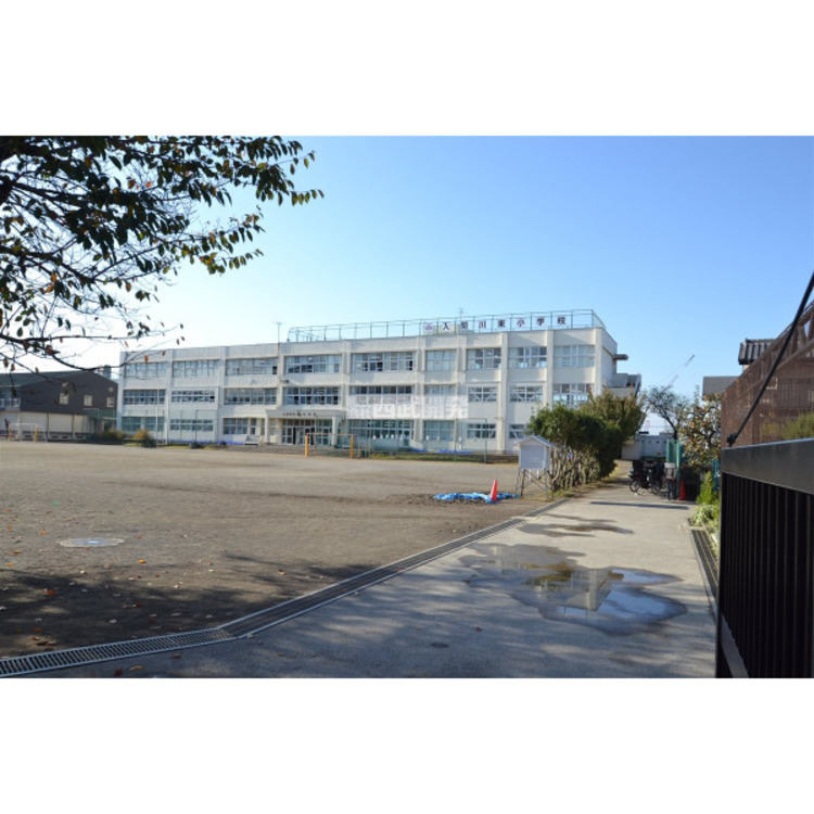 周辺 入間川東小学校(約362m)