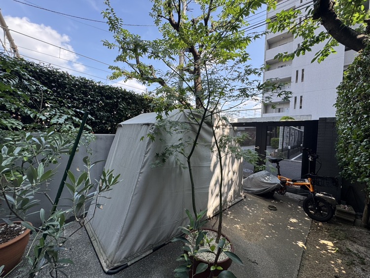 その他 太陽の光を存分に取り込むことのできる専用庭付き。